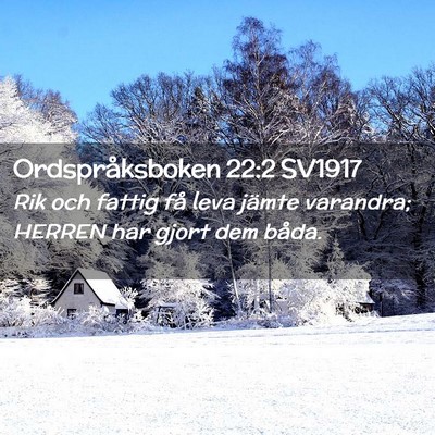 Picture 02 - Ordspråksboken 22:2 SV1917 - Rik och fattig få leva jämte varandra; HERREN - Bible Verse Picture