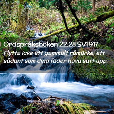 Picture 02 - Ordspråksboken 22:28 SV1917 - Flytta icke ett gammalt råmärke, ett sådant - Bible Verse Picture