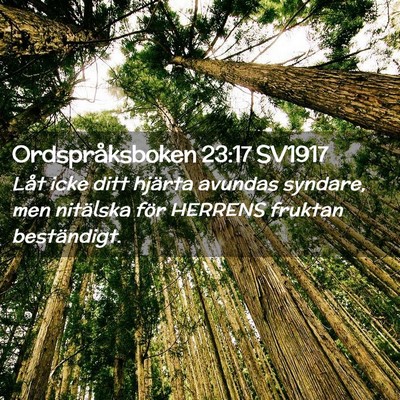 Picture 02 - Ordspråksboken 23:17 SV1917 - Låt icke ditt hjärta avundas syndare, men - Bible Verse Picture
