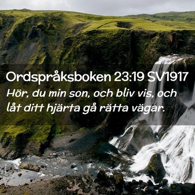 Picture 02 - Ordspråksboken 23:19 SV1917 - Hör, du min son, och bliv vis, och låt ditt - Bible Verse Picture
