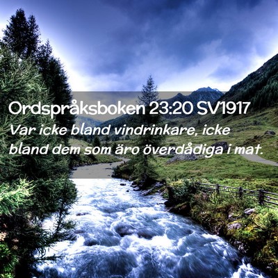 Picture 02 - Ordspråksboken 23:20 SV1917 - Var icke bland vindrinkare, icke bland dem som - Bible Verse Picture