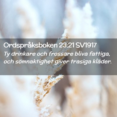 Picture 02 - Ordspråksboken 23:21 SV1917 - Ty drinkare och frossare bliva fattiga, och - Bible Verse Picture