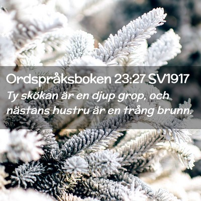 Picture 02 - Ordspråksboken 23:27 SV1917 - Ty skökan är en djup grop, och nästans hustru - Bible Verse Picture