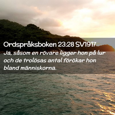 Picture 02 - Ordspråksboken 23:28 SV1917 - Ja, såsom en rövare ligger hon på lur och de - Bible Verse Picture