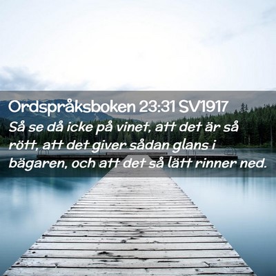 Picture 02 - Ordspråksboken 23:31 SV1917 - Så se då icke på vinet, att det är så rött, - Bible Verse Picture