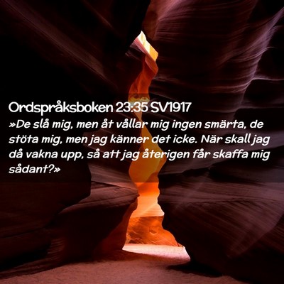Picture 02 - Ordspråksboken 23:35 SV1917 - »De slå mig, men åt vållar mig ingen smärta, - Bible Verse Picture
