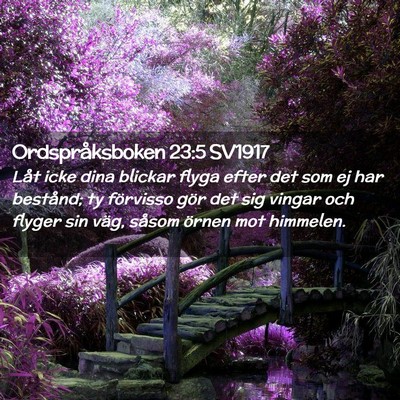 Picture 02 - Ordspråksboken 23:5 SV1917 - Låt icke dina blickar flyga efter det som ej har - Bible Verse Picture
