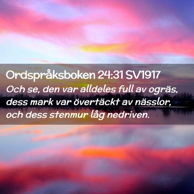 Picture 02 - Ordspråksboken 24:31 SV1917 - Och se, den var alldeles full av ogräs, dess - Bible Verse Picture