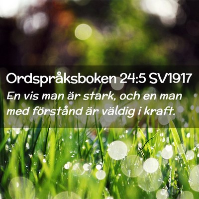 Picture 02 - Ordspråksboken 24:5 SV1917 - En vis man är stark, och en man med förstånd - Bible Verse Picture