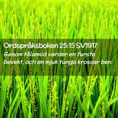 Picture 02 - Ordspråksboken 25:15 SV1917 - Genom tålamod varder en furste bevekt, och en - Bible Verse Picture
