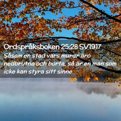 Picture 02 - Ordspråksboken 25:28 SV1917 - Såsom en stad vars murar äro nedbrutna och - Bible Verse Picture