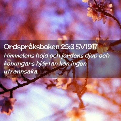 Picture 02 - Ordspråksboken 25:3 SV1917 - Himmelens höjd och jordens djup och konungars - Bible Verse Picture