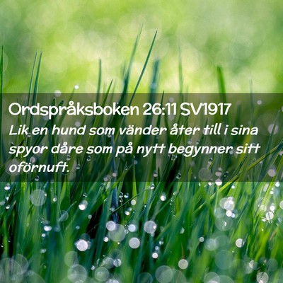 Picture 02 - Ordspråksboken 26:11 SV1917 - Lik en hund som vänder åter till i sina spyor - Bible Verse Picture