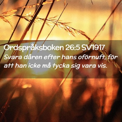 Picture 02 - Ordspråksboken 26:5 SV1917 - Svara dåren efter hans oförnuft, för att han - Bible Verse Picture