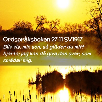 Picture 02 - Ordspråksboken 27:11 SV1917 - Bliv vis, min son, så gläder du mitt hjärta; - Bible Verse Picture