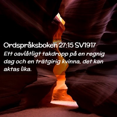 Picture 02 - Ordspråksboken 27:15 SV1917 - Ett oavlåtligt takdropp på en regnig dag och en - Bible Verse Picture