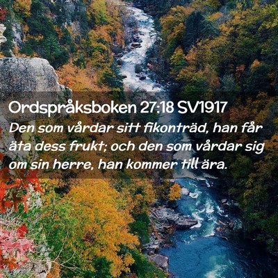 Picture 02 - Ordspråksboken 27:18 SV1917 - Den som vårdar sitt fikonträd, han får äta - Bible Verse Picture