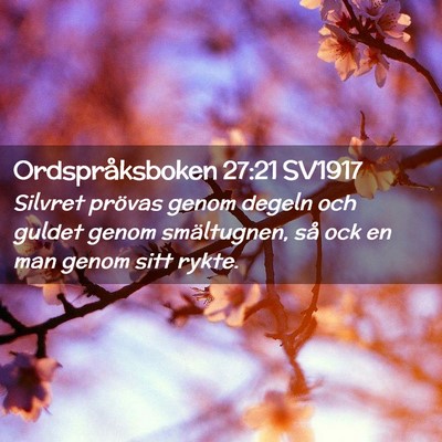 Picture 02 - Ordspråksboken 27:21 SV1917 - Silvret prövas genom degeln och guldet genom - Bible Verse Picture