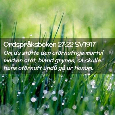 Picture 02 - Ordspråksboken 27:22 SV1917 - Om du stötte den oförnuftige mortel med en - Bible Verse Picture