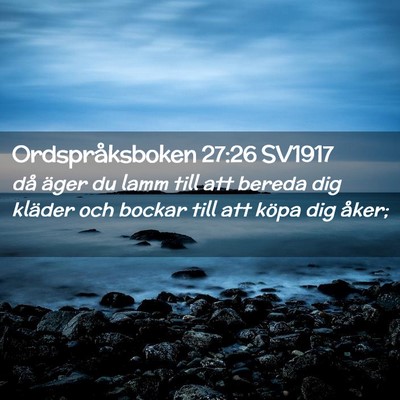 Picture 02 - Ordspråksboken 27:26 SV1917 - då äger du lamm till att bereda dig kläder och - Bible Verse Picture