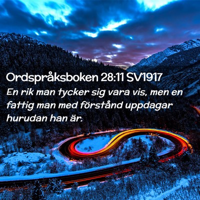 Picture 02 - Ordspråksboken 28:11 SV1917 - En rik man tycker sig vara vis, men en fattig man - Bible Verse Picture
