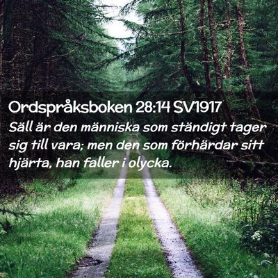 Picture 02 - Ordspråksboken 28:14 SV1917 - Säll är den människa som ständigt tager sig - Bible Verse Picture