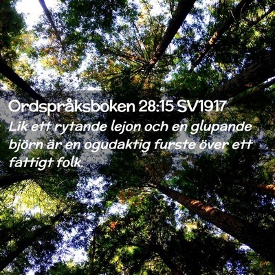 Picture 02 - Ordspråksboken 28:15 SV1917 - Lik ett rytande lejon och en glupande björn är - Bible Verse Picture