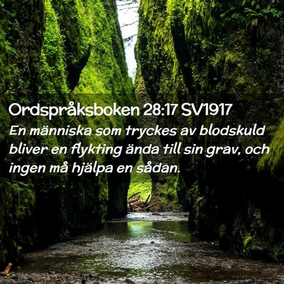 Picture 02 - Ordspråksboken 28:17 SV1917 - En människa som tryckes av blodskuld bliver en - Bible Verse Picture