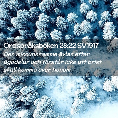 Picture 02 - Ordspråksboken 28:22 SV1917 - Den missunnsamme ävlas efter ägodelar och - Bible Verse Picture