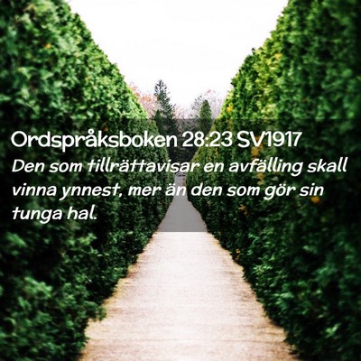Picture 02 - Ordspråksboken 28:23 SV1917 - Den som tillrättavisar en avfälling skall vinna - Bible Verse Picture