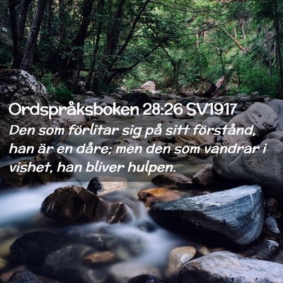 Picture 02 - Ordspråksboken 28:26 SV1917 - Den som förlitar sig på sitt förstånd, han - Bible Verse Picture