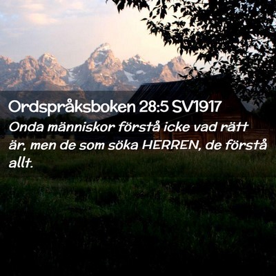 Picture 02 - Ordspråksboken 28:5 SV1917 - Onda människor förstå icke vad rätt är, men - Bible Verse Picture