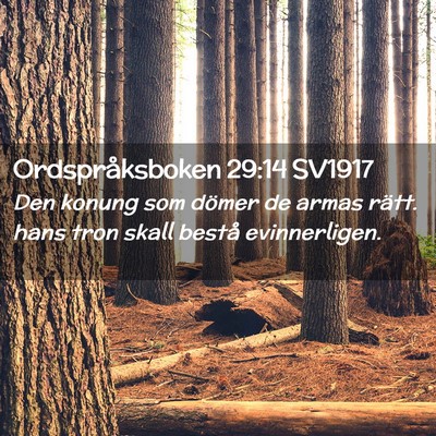 Picture 02 - Ordspråksboken 29:14 SV1917 - Den konung som dömer de armas rätt. hans tron - Bible Verse Picture