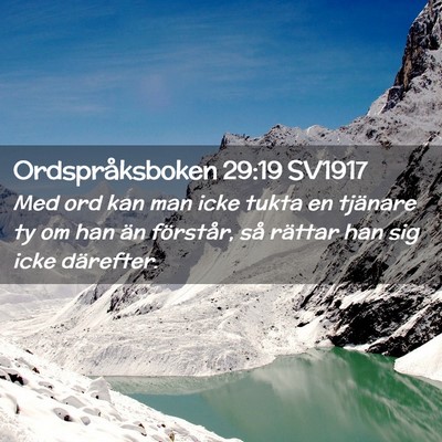 Picture 02 - Ordspråksboken 29:19 SV1917 - Med ord kan man icke tukta en tjänare ty om han - Bible Verse Picture