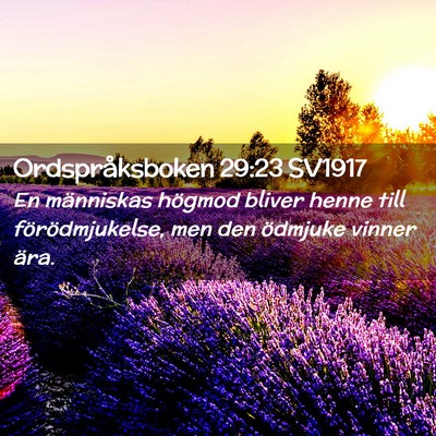Picture 02 - Ordspråksboken 29:23 SV1917 - En människas högmod bliver henne till - Bible Verse Picture