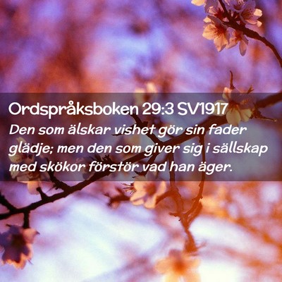 Picture 02 - Ordspråksboken 29:3 SV1917 - Den som älskar vishet gör sin fader glädje; - Bible Verse Picture