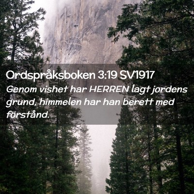 Picture 02 - Ordspråksboken 3:19 SV1917 - Genom vishet har HERREN lagt jordens grund, - Bible Verse Picture