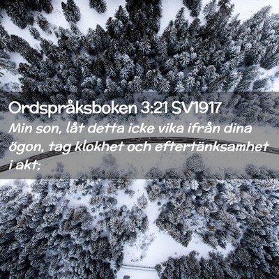 Picture 02 - Ordspråksboken 3:21 SV1917 - Min son, låt detta icke vika ifrån dina ögon, - Bible Verse Picture