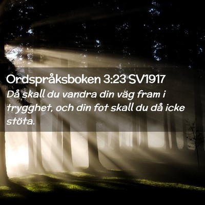 Picture 02 - Ordspråksboken 3:23 SV1917 - Då skall du vandra din väg fram i trygghet, och - Bible Verse Picture