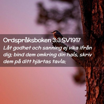 Picture 02 - Ordspråksboken 3:3 SV1917 - Låt godhet och sanning ej vika ifrån dig; bind - Bible Verse Picture