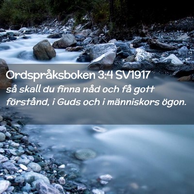 Picture 02 - Ordspråksboken 3:4 SV1917 - så skall du finna nåd och få gott förstånd, - Bible Verse Picture