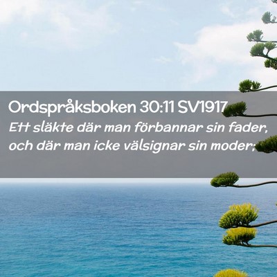 Picture 02 - Ordspråksboken 30:11 SV1917 - Ett släkte där man förbannar sin fader, och - Bible Verse Picture