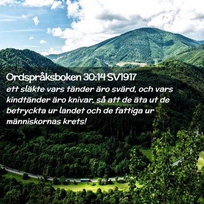 Picture 02 - Ordspråksboken 30:14 SV1917 - ett släkte vars tänder äro svärd, och vars - Bible Verse Picture