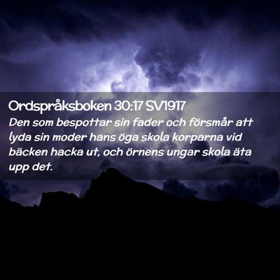 Picture 02 - Ordspråksboken 30:17 SV1917 - Den som bespottar sin fader och försmår att - Bible Verse Picture