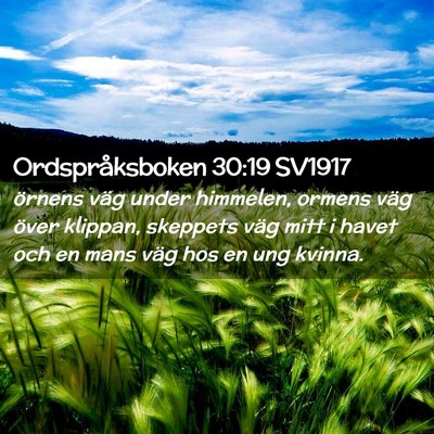 Picture 02 - Ordspråksboken 30:19 SV1917 - örnens väg under himmelen, ormens väg över - Bible Verse Picture
