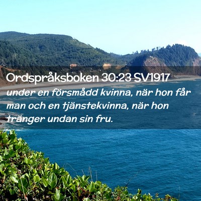 Picture 02 - Ordspråksboken 30:23 SV1917 - under en försmådd kvinna, när hon får man och - Bible Verse Picture