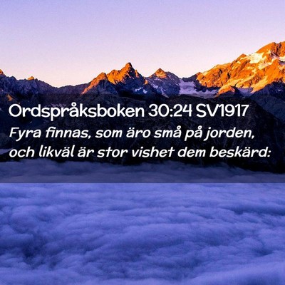 Picture 02 - Ordspråksboken 30:24 SV1917 - Fyra finnas, som äro små på jorden, och - Bible Verse Picture