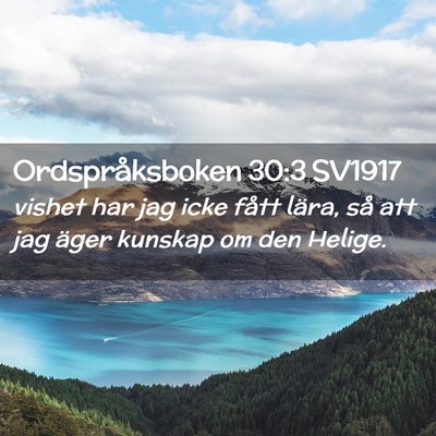 Picture 02 - Ordspråksboken 30:3 SV1917 - vishet har jag icke fått lära, så att jag - Bible Verse Picture