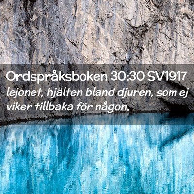 Picture 02 - Ordspråksboken 30:30 SV1917 - lejonet, hjälten bland djuren, som ej viker - Bible Verse Picture
