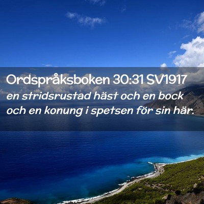 Picture 02 - Ordspråksboken 30:31 SV1917 - en stridsrustad häst och en bock och en konung i - Bible Verse Picture
